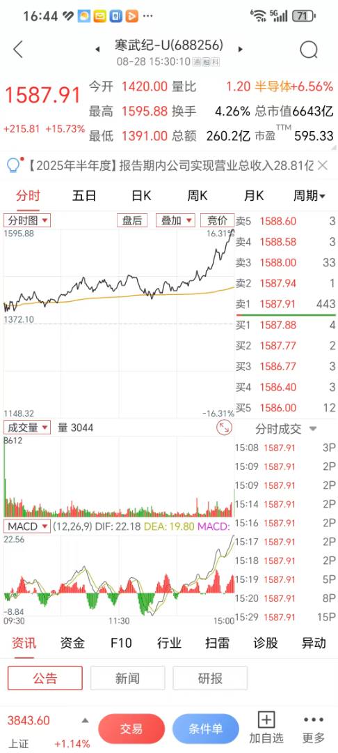 寒武纪是成长股预期落地的典型