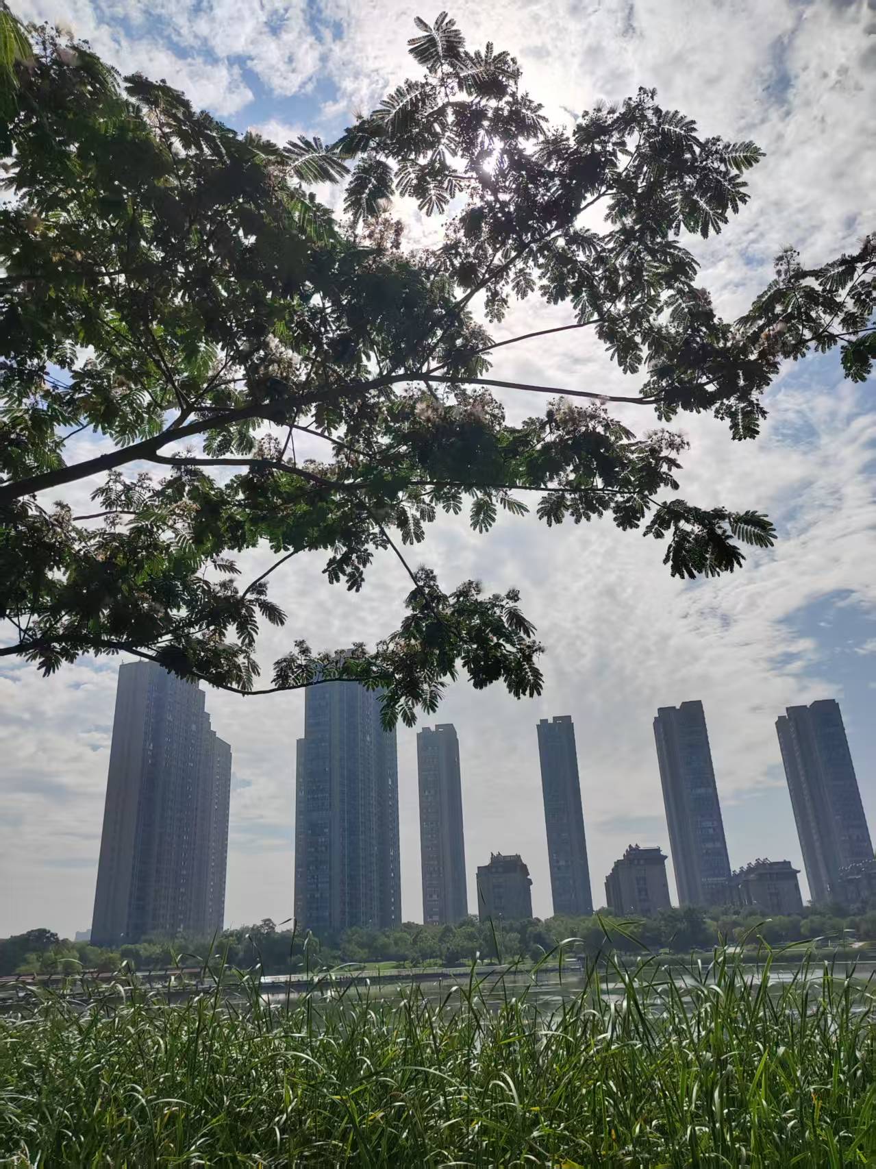 我国将推动城市规划创新促城市高质量发展