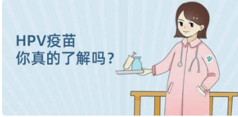 宫颈癌的“防火墙”——HPV疫苗知多少？ 