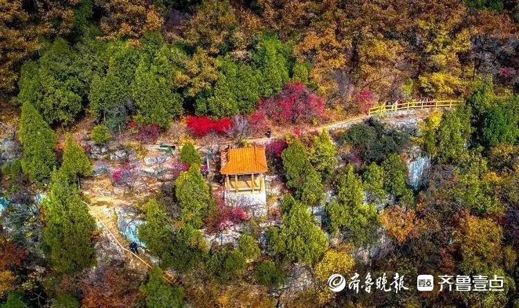 双节假期怎么“游”山亭，具体“教程”来了 