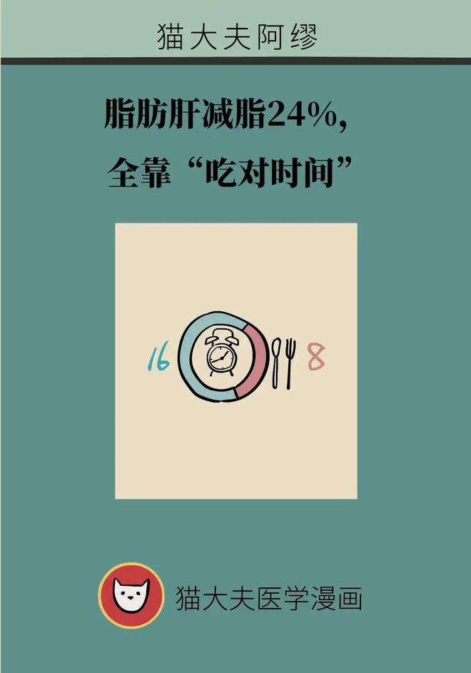 研究证实：吃饭用“16+8”，脂肪肝能减脂24%！