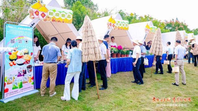 嫌浦东合庆远？这条乡村文旅路线绝对值得来一次