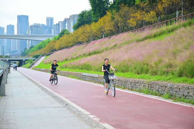 “双节”期间全市城市公园接待游客740.6万人次 同比增长39.31%..