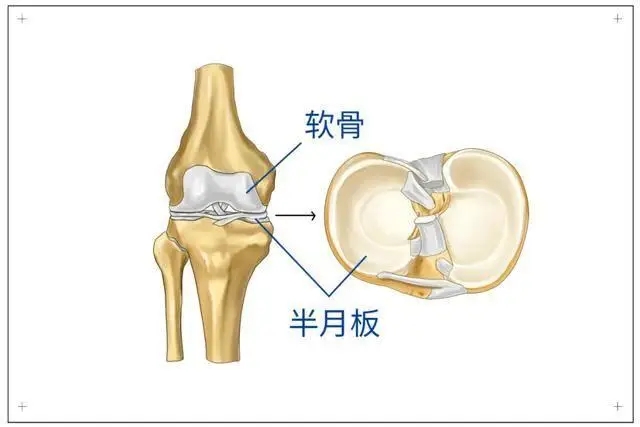 一次长途旅行，差点因肺栓塞丧命，一定要警惕“经济舱综合症”！..