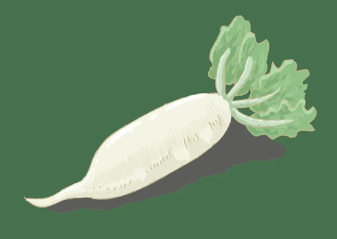【妇产科普】白露时节，营养师和您聊萝卜 