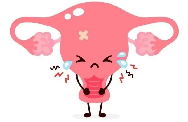【汤医科普】长了子宫肌瘤怎么办？