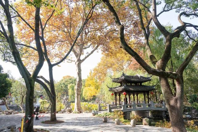 嘉定“秋冬氛围组”已上线！尽在橙黄橘绿红