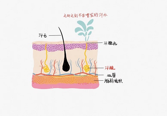 盗汗，是肾脏出问题了吗？
