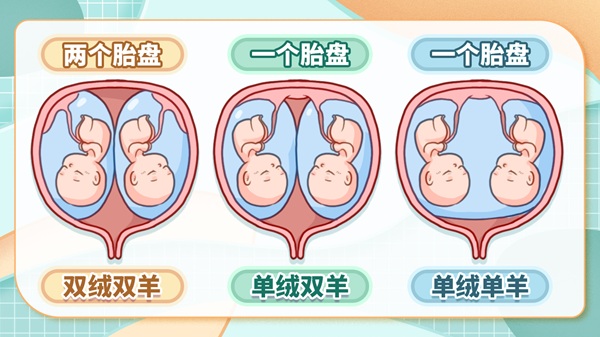 双胞胎的胎儿一大一小是怎么回事？出现脐带绕颈危险吗？