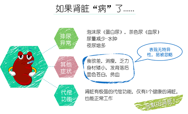 小朋友也会肾不好？——重视儿童慢性肾脏疾病