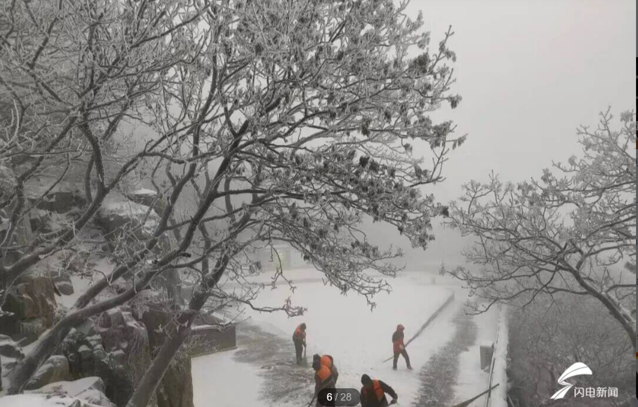 组图丨泰山雾凇缀琼枝 松涛伴雪绕岱宗