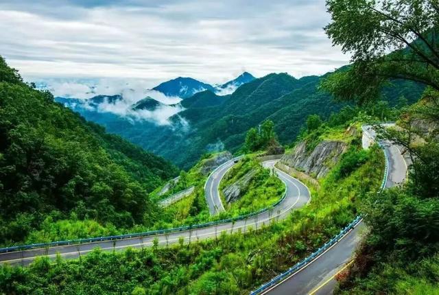 入选全国“最美”！栾川这条路串起老君山、竹海野生动物园…..