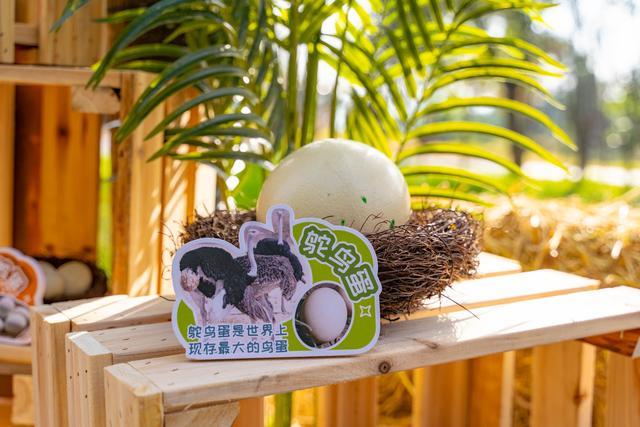 元旦来云南野生动物园寻“彩蛋”  解锁新年好彩头