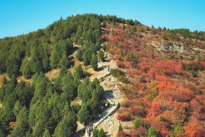 读城记|去山顶找家