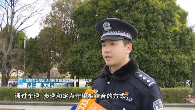 日均客流超10万！假期观鸥指南，看完“不添堵”