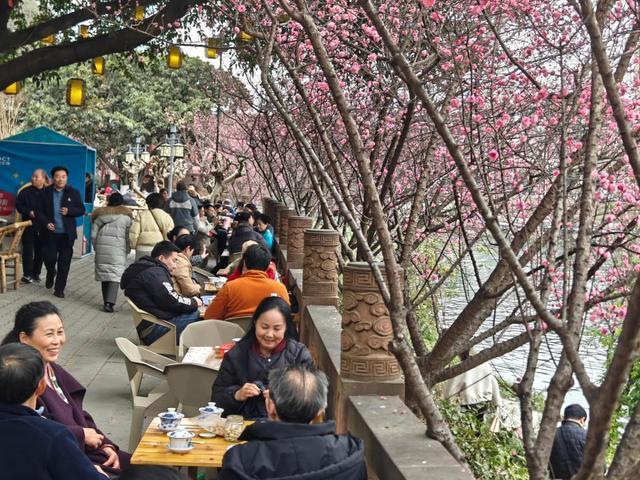 春来花重锦官城