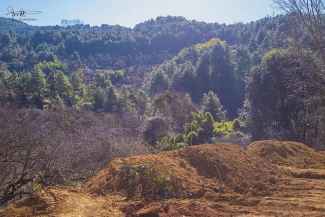 大理伙山村的田园牧歌，终归败给了柴米油盐，少去许多诗意和淡然..