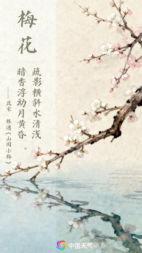 2026全国春日赏花地图出炉 邀你共赴一场古诗里的寻花之旅