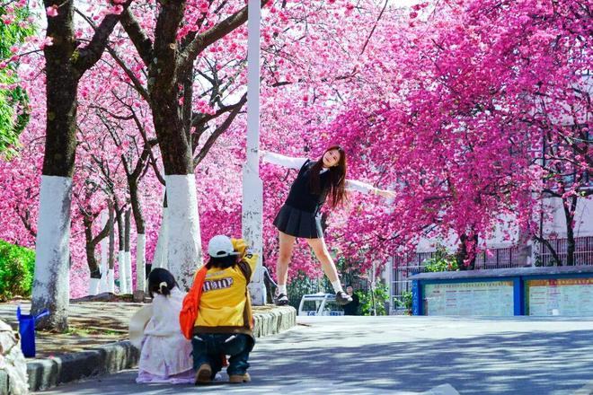 预警！来自大理的“甜蜜暴击”