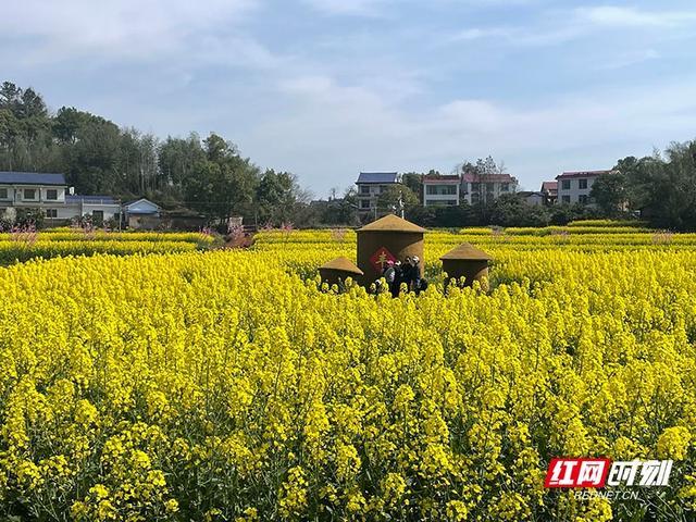 组图｜跟随记者镜头解锁攸县春日“花漾”玩法