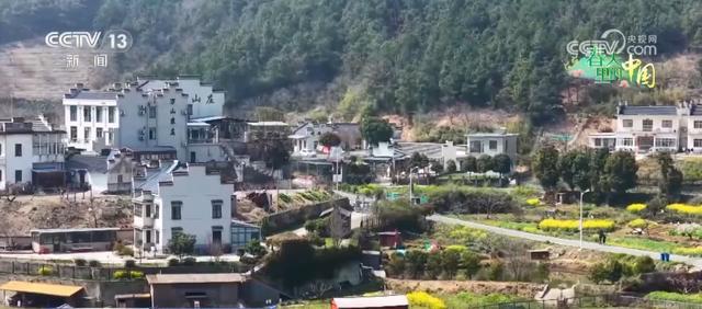 “乡村美景+农家生活”沉浸式赏花引客来 村民在家门口吃上“旅游饭”..