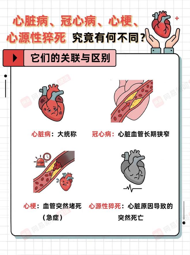 心源性猝死、心脏病、冠心病、心梗，别再搞混了！