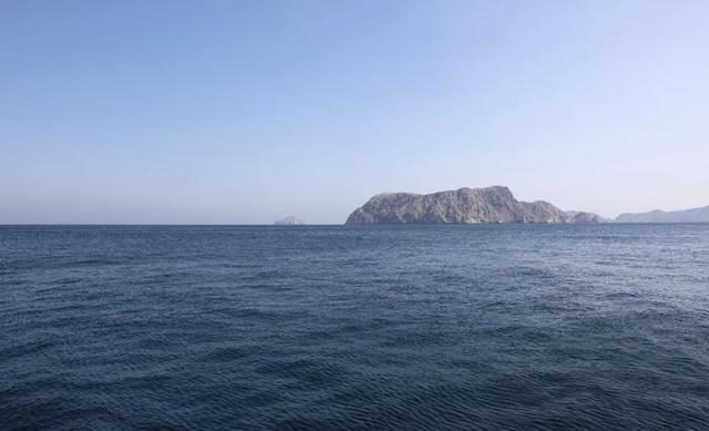 英法宣布牵头霍尔木兹海峡安全通航行动，已有12国愿提供军事资源，“美国和伊朗均未参..