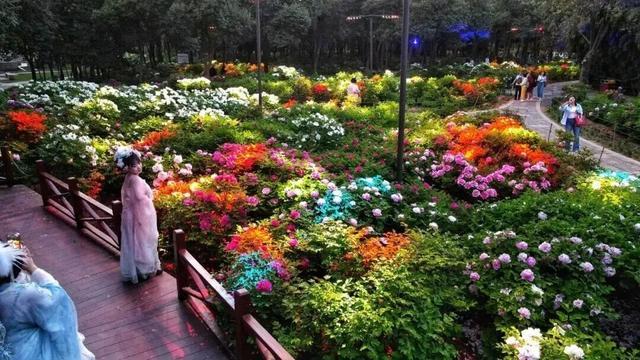 河南春游邀请函已送达！发件人：王维、刘禹锡、李清照……..