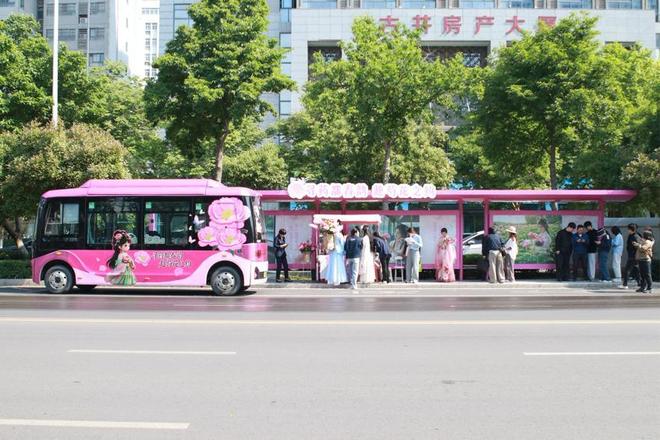 乘芍花公交 赏亳州芍花