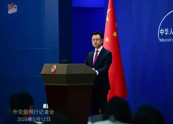 外交部发言人点名的“灰犀牛”，啥情况？
