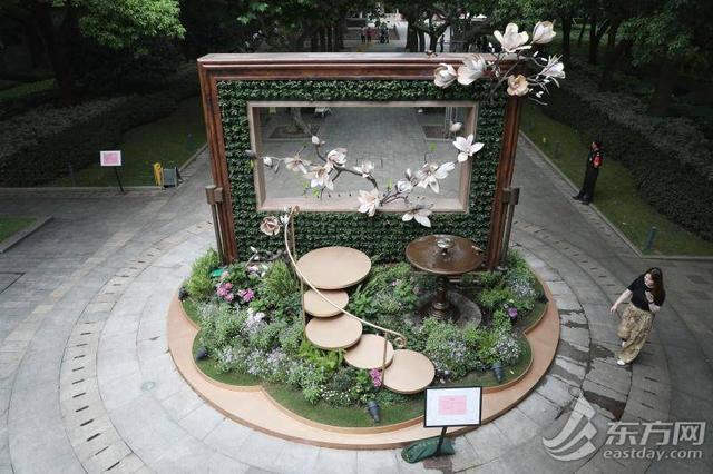 绣球花开，申城初夏“顶流”梦幻上线 | 组图
