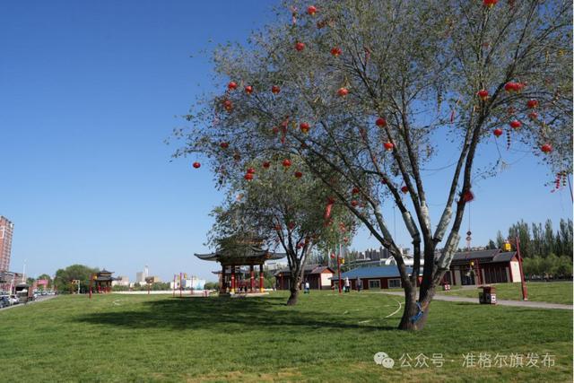 准格尔旗城中微草原开放：3.2万平方米“诗与远方”融入市民生活圈..