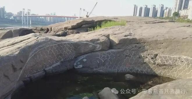 重庆枯水期限定网红景点，长江江心岛惊现大批鱼骨图却不是古生物..