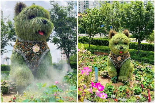 给“潦草小狗”造花路，上海荷花睡莲展试水荷花上街