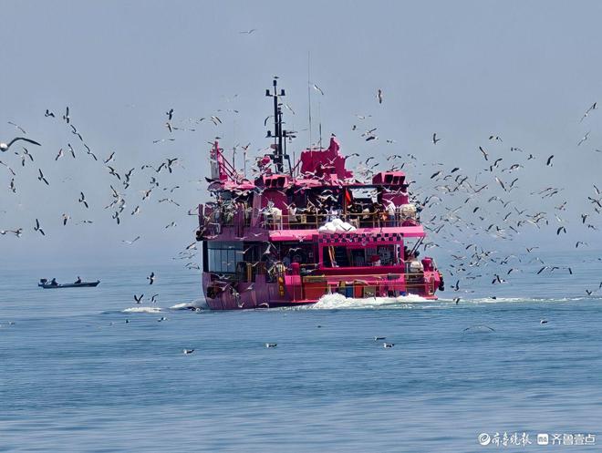 沉浸式体验“海上观鸥”