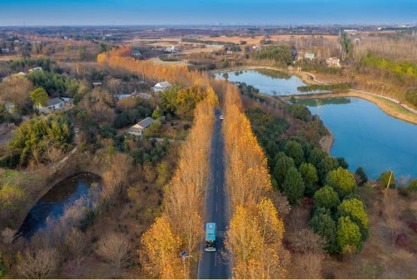 “一号公路”，串起紫蓬好风光！