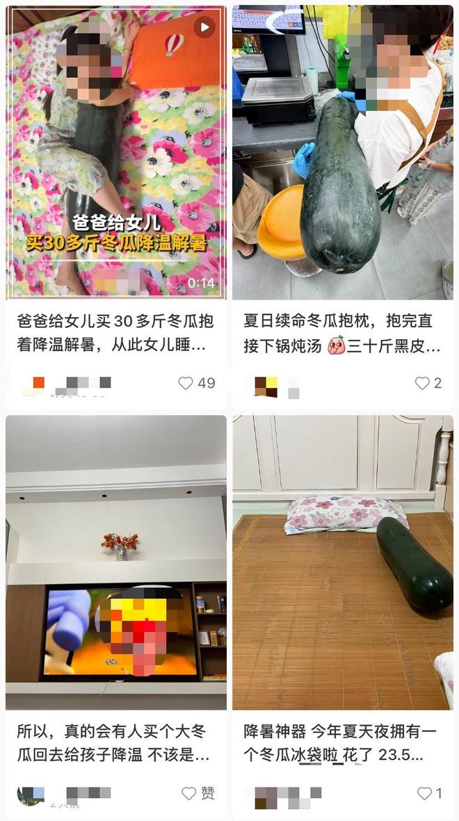 冬瓜成了“夏日伴睡神器”？专家：吃比抱着更解暑