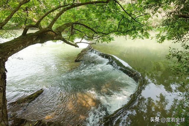 不用登高爬山，罗平多依河十里钙华滩，随手拍都是风景画！..