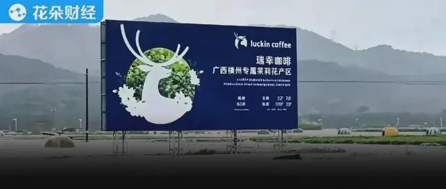 “你的茉莉奶绿泡在水里了”，横州190亿茉莉产业告急！