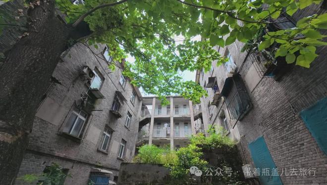 北碚缙云山下曾经有个“小苏州”： 三千职工铸就柴油机传奇..