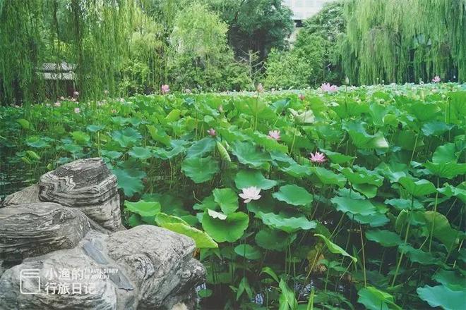 西安夏天去值得去的景点，古典园林的诗意与浪漫！地铁直达+免费..