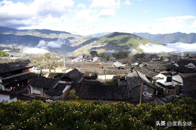 茶马古道山口的情人树，动人传说背后，藏着被我们忽略的真实苦难..